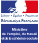 Toutaide est soutenu financièrement par la Direction  Départementale du Travail , de l'Emploi  et de la Formation professionnelle de Loire-Atlantique